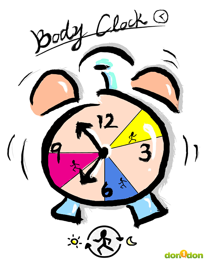 跟著生理時鐘去慢跑 Run to suit you body clock