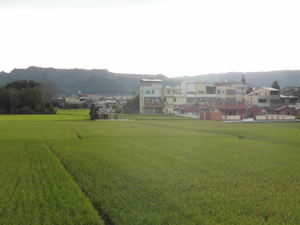 稻香滿溢的田中馬拉松