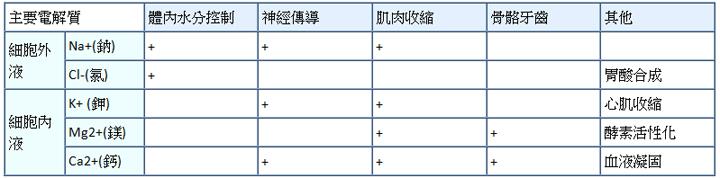 各電解質的主要功能表