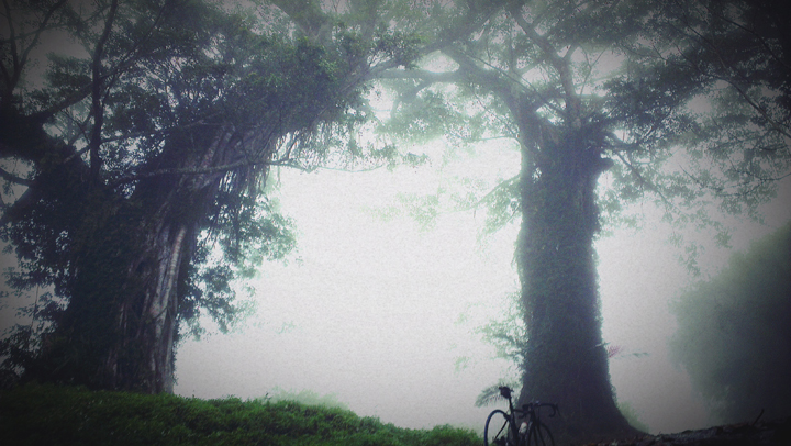 【Sazasa 霧、小雨 – 天堂之門】