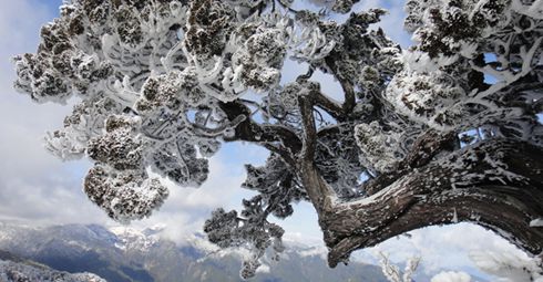 中央山脈南三段──丹大山白雪天堂and/or地獄(上)