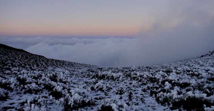 中央山脈南三段──丹大山白雪天堂and/or地獄(下)