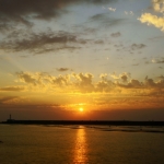 SONY DSC