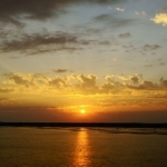 SONY DSC