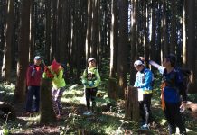 龍虎鳳越野賽越虐越美麗之啟承