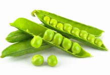 你應該吃豌豆蛋白的 10 個原因