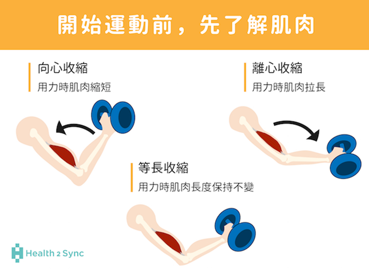 煞車過程中,肌肉不斷地產生離心收縮造成肌肉肌腱高強度負荷 。(圖片來源:你可以,靜靜的動)