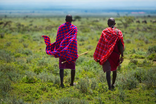 照片來源:eyesonafricasafaris