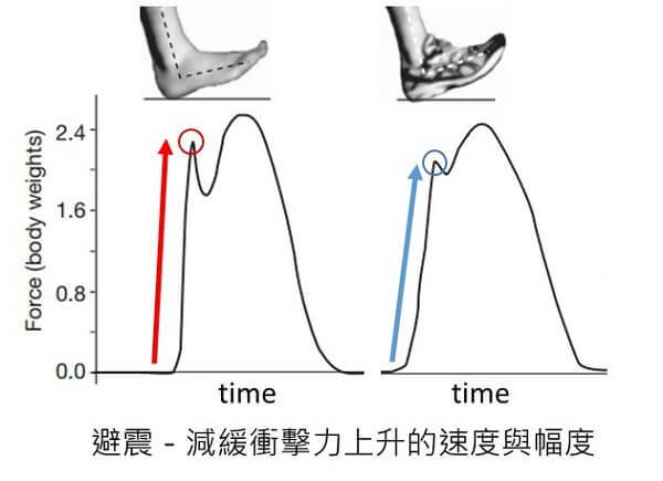 圖片來源:修改自Nature, 463(7280), 531-535
