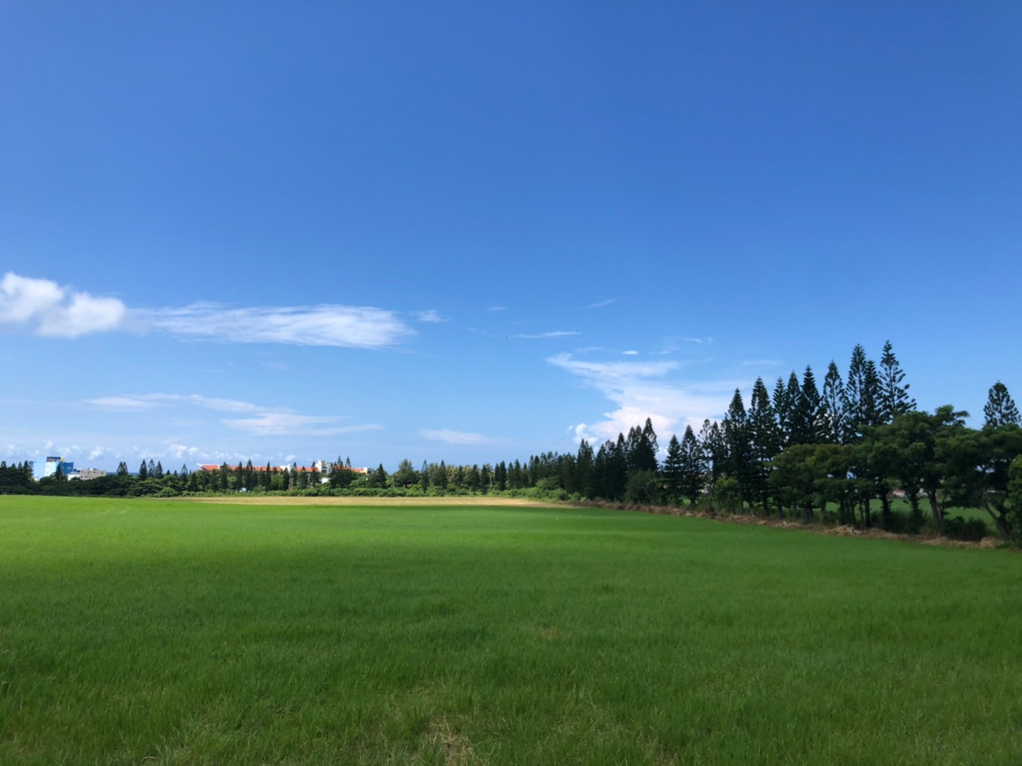 轉進大溪巷，你將能感受「風吹草低見牛羊」之景（圖片來源：LAVA台灣鐵人三項公司）