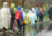 用勇氣顛覆大人眼中的不可能 100公里徒步,孩子無懼跨步