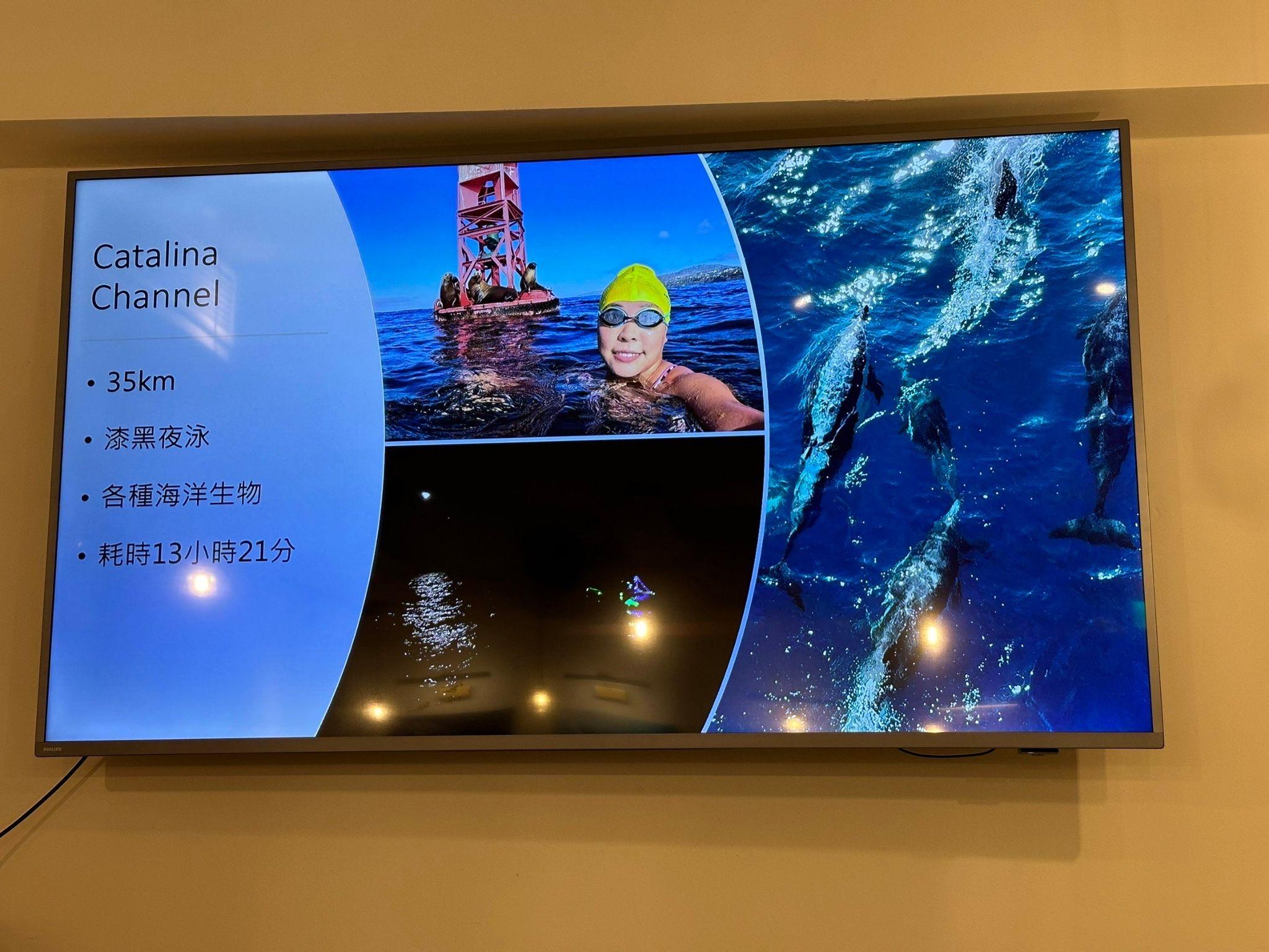 與海豚、海獺徜徉大海、近距離共游,或許是長泳獨有魅力之一,讓許汶而愛不釋手。
